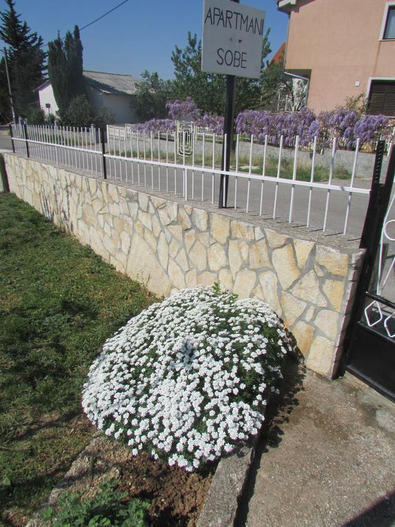 Apartments Jasen Maslenica Exterior photo